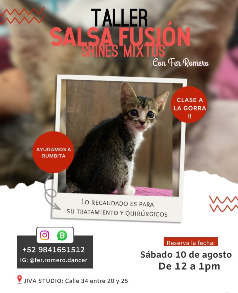 Taller Salsa Fusión Shines Mixtos (Fer Romero)